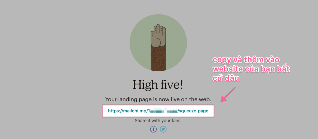 hướng dẫn sử dụng Mailchimp