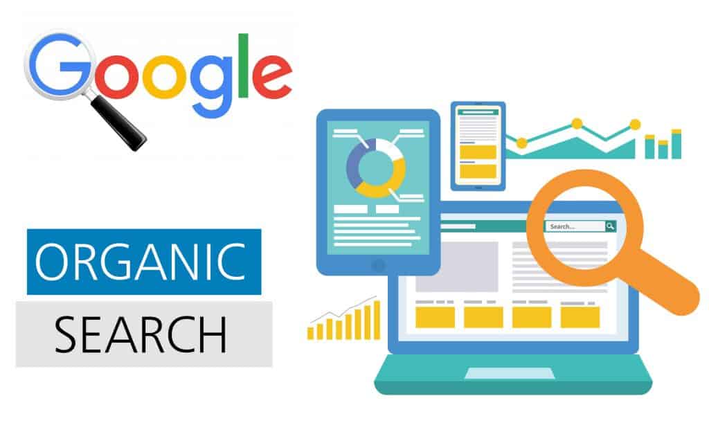 Organic Search