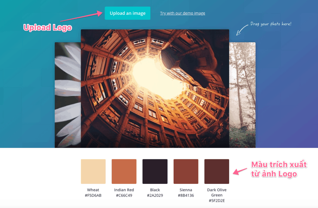 Upload Anh Vao Canva De Tao Color Scheme