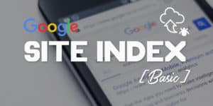 4 HIỂU LẦM CƠ BẢN CỦA BLOGGER KHI ĐƯA WEB LÊN GOOGLE “LẦN ĐẦU”