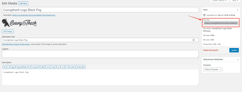 Tim Ten File Anh Logo