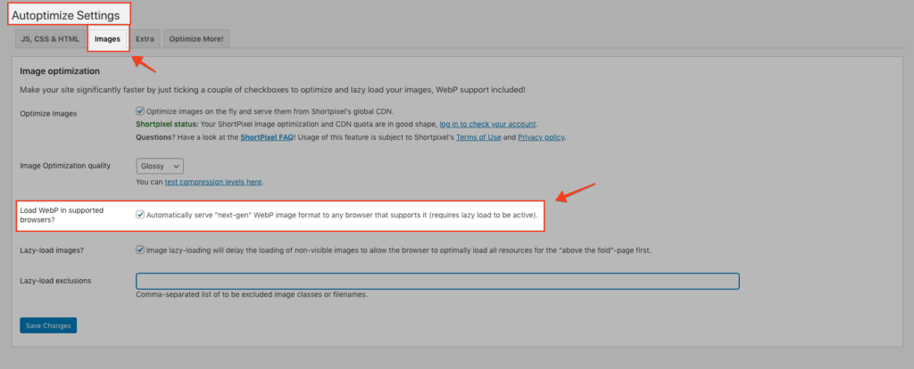 Bat Webp Trong Autoptimize