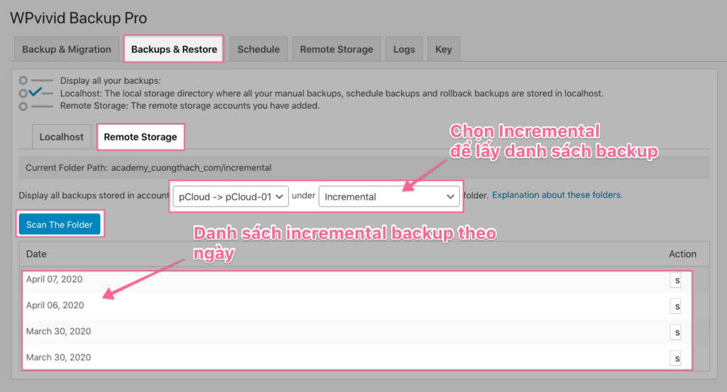 Restore Backup Wpvivid Pro